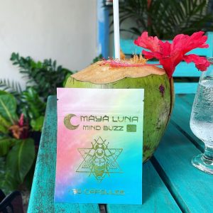 mind buzz maya luna
