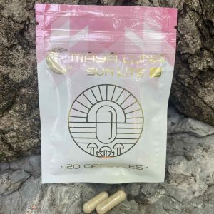 Sun Lite + Coaching Call Bundle