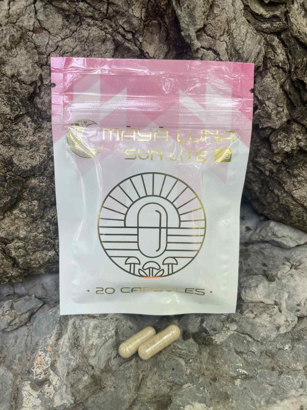 Sun Lite + Coaching Call Bundle
